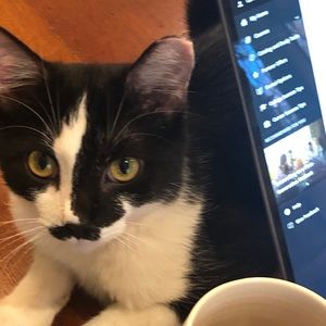 Meet your Posher, Ken